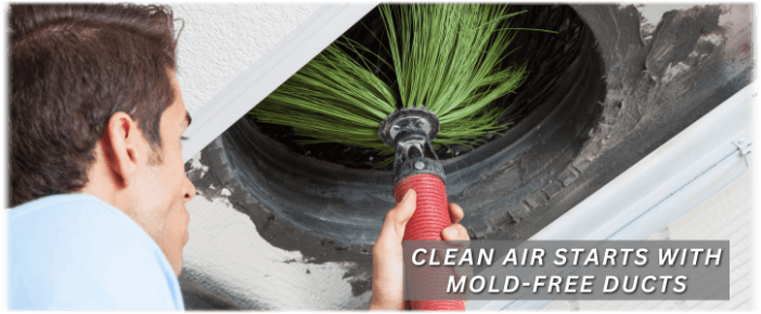 Air Duct Mold Removal in Edison NJ