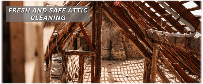 Attic Cleaning Edison NJ